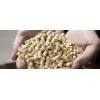 Large volumes of wood pellets are needed