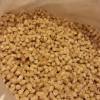 Interested in wood pellets, 10t a month