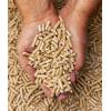 Selling wood pellets, ENplus A1, 6 mm, 15 kg bags