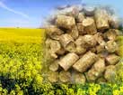 Wood pellets