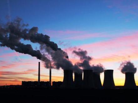  Unpopular Coal for burning biomass