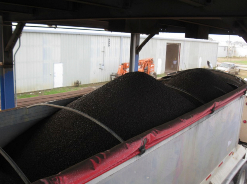 Torrefied pellets industry