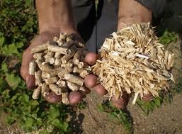 Wood pellets ukraine produers