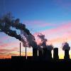  Unpopular Coal for burning biomass